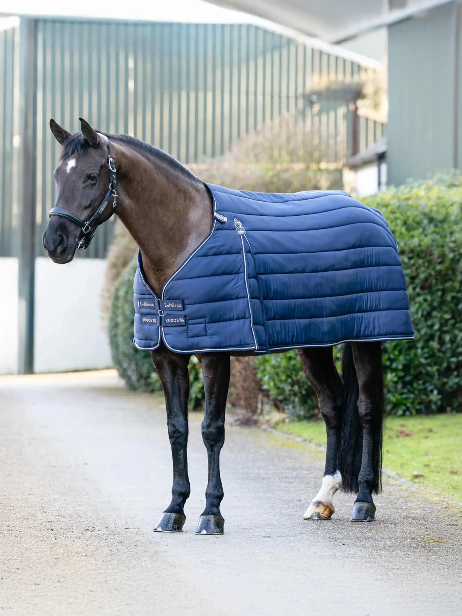LeMieux Kudos Rug Liner 350g Navy: Horse rug for extra warmth and layering. High quality Equine blanket, Shop at Equiflair.