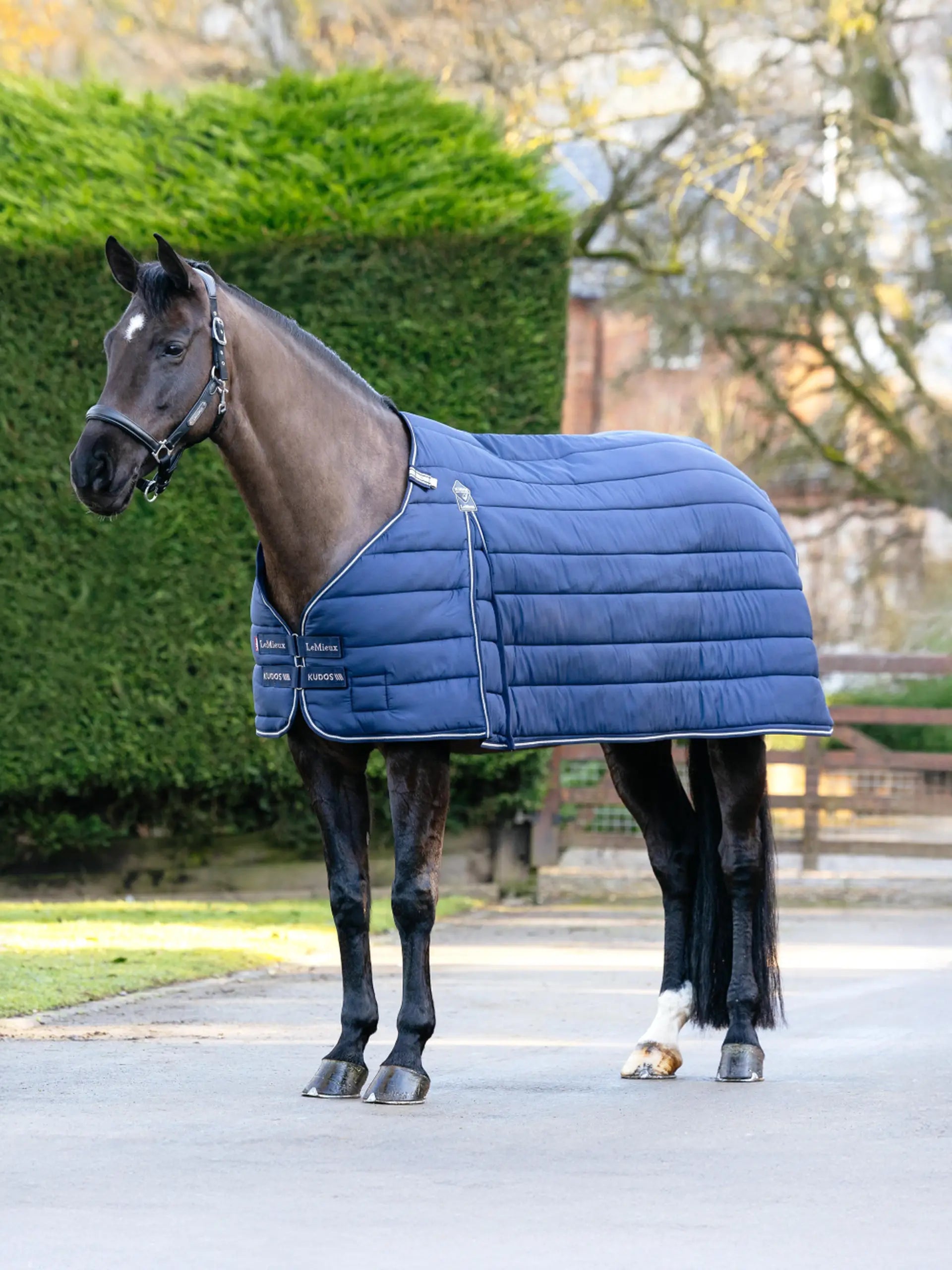 Horse wearing a navy LeMieux Kudos Rug Liner 200g from Equiflair. Horse rug liner product shot. 