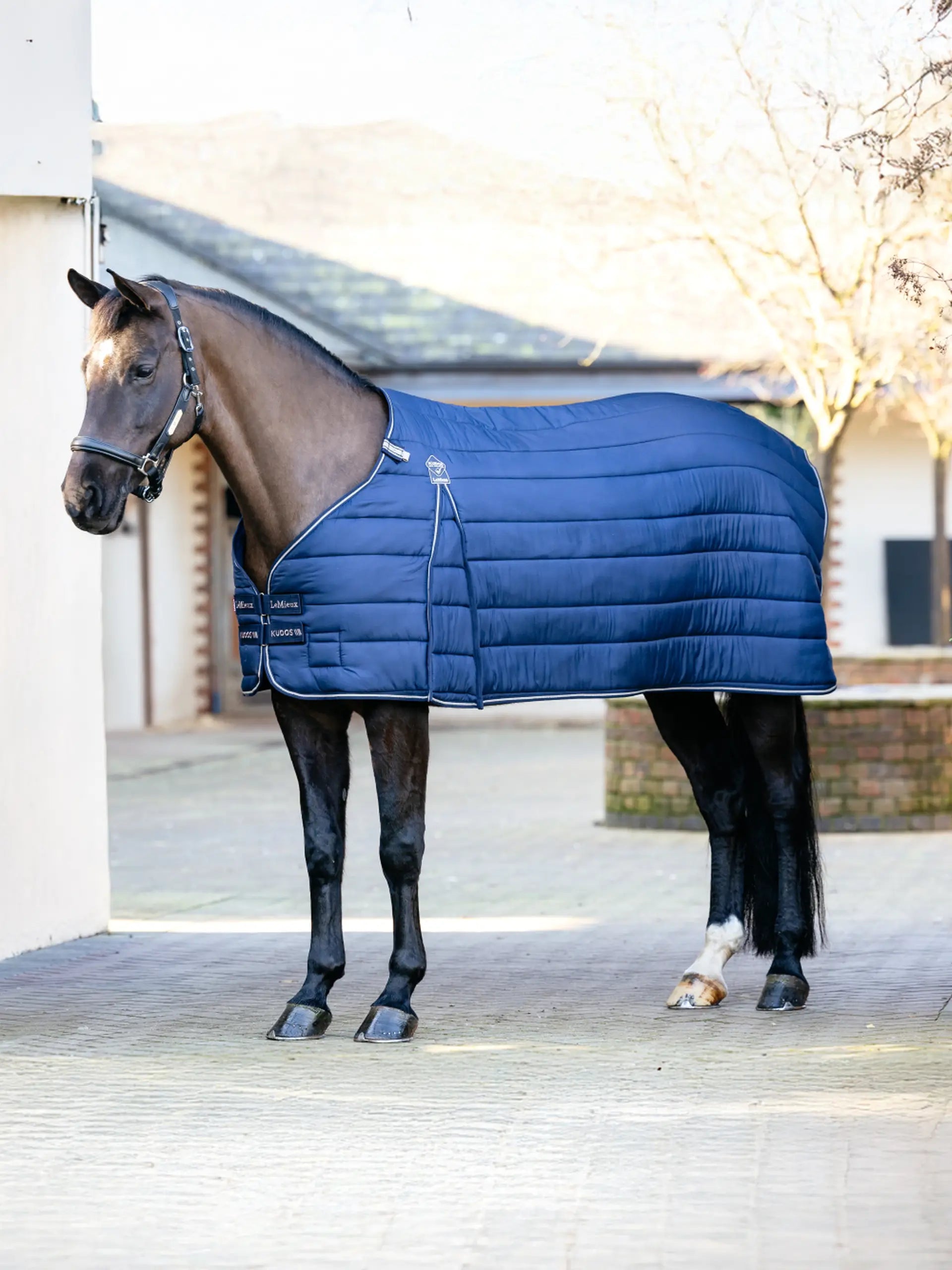 LEMIEUX KUDOS 350G Navy Horse Rug Liner: Insulated Comfort & Style | Equiflair