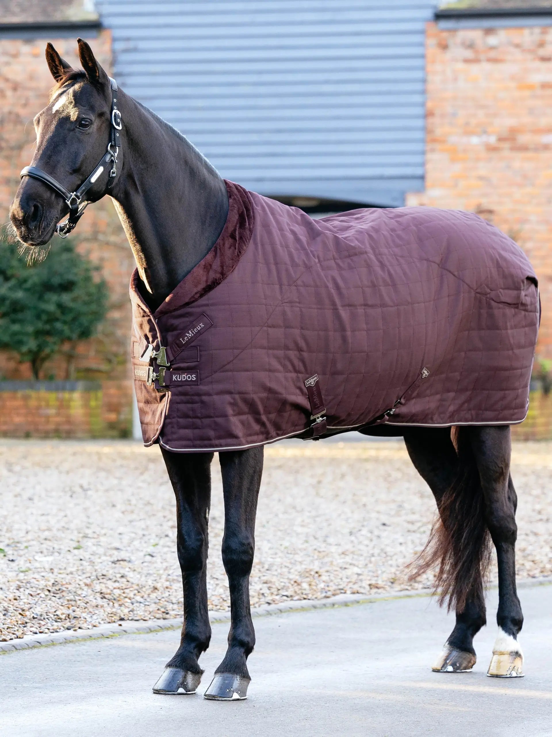 LeMieux Kudos Luxe Lined Stable Rug Damson