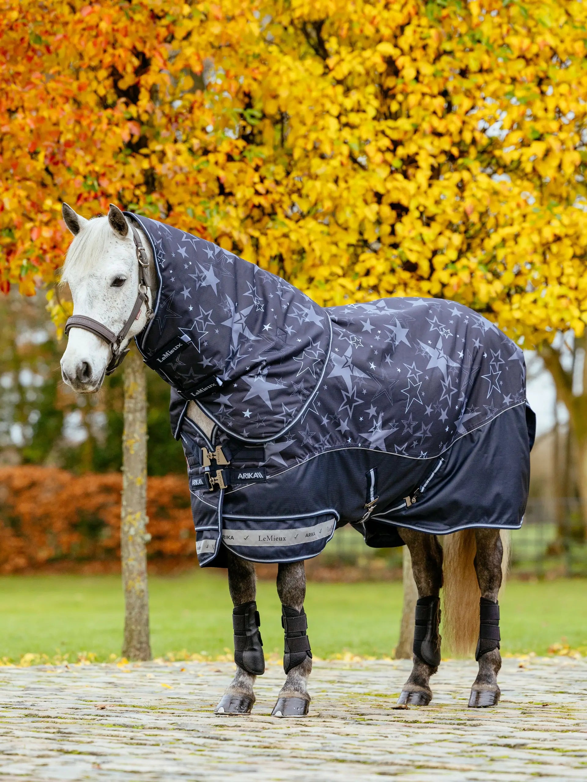 LeMieux Arika Star Turnout Rug - Navy star print waterproof horse rug