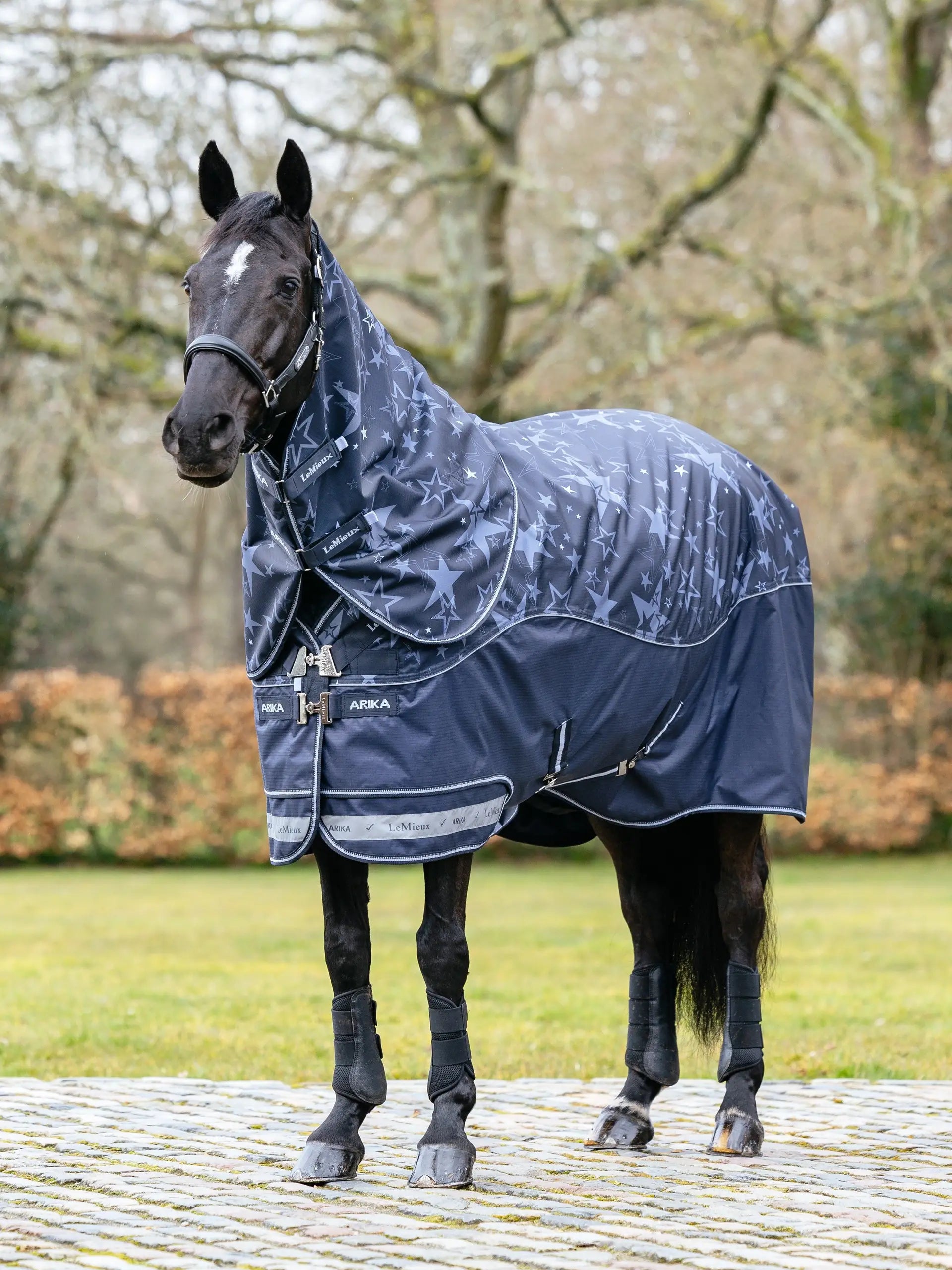 LeMieux Arika Star 200g Turnout Rug Navy