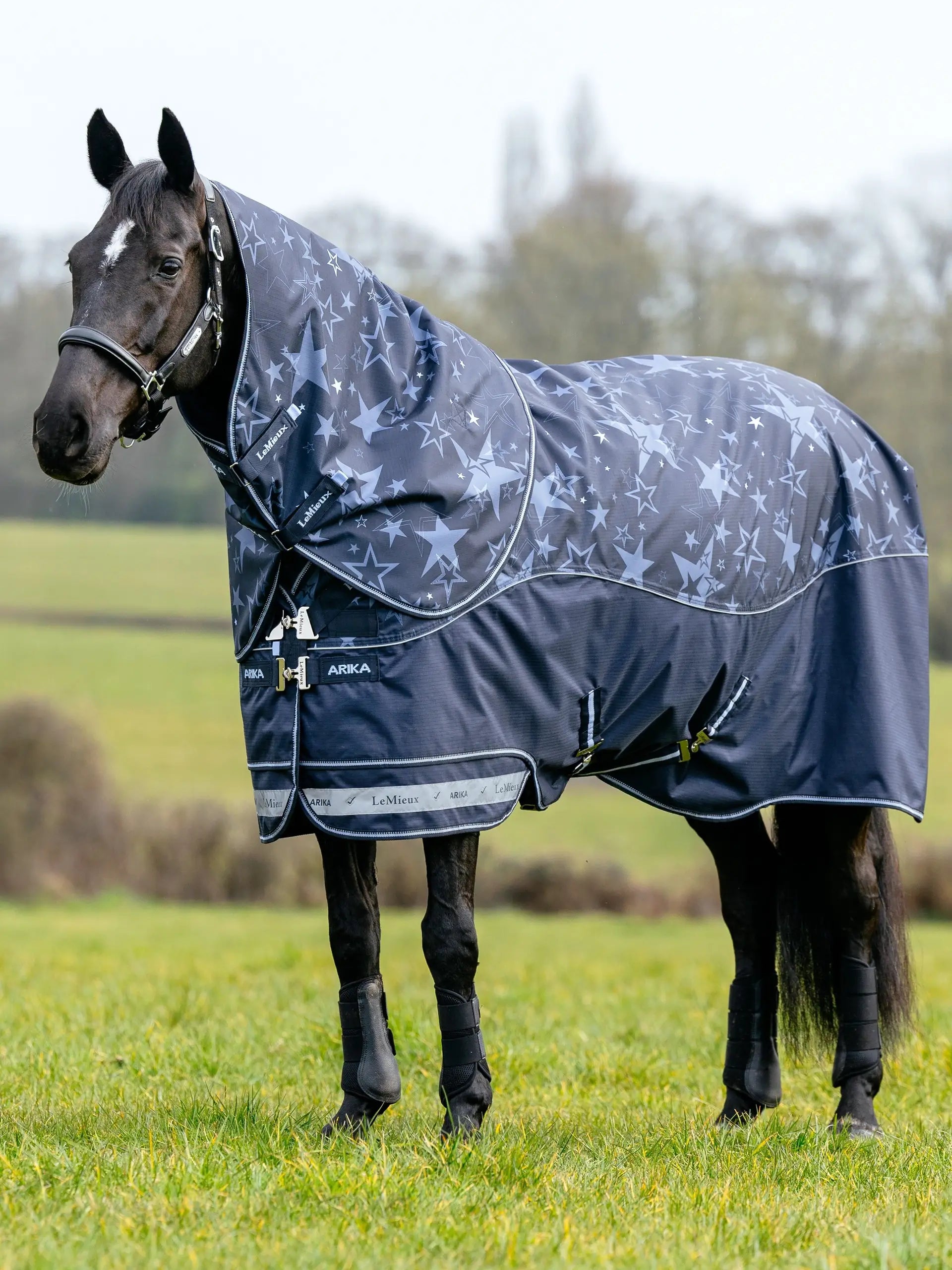 LeMieux ARIKA Star 100G Turnout Rug Navy: Waterproof Horse Blanket with Star Print Design. Equiflair Store Image.