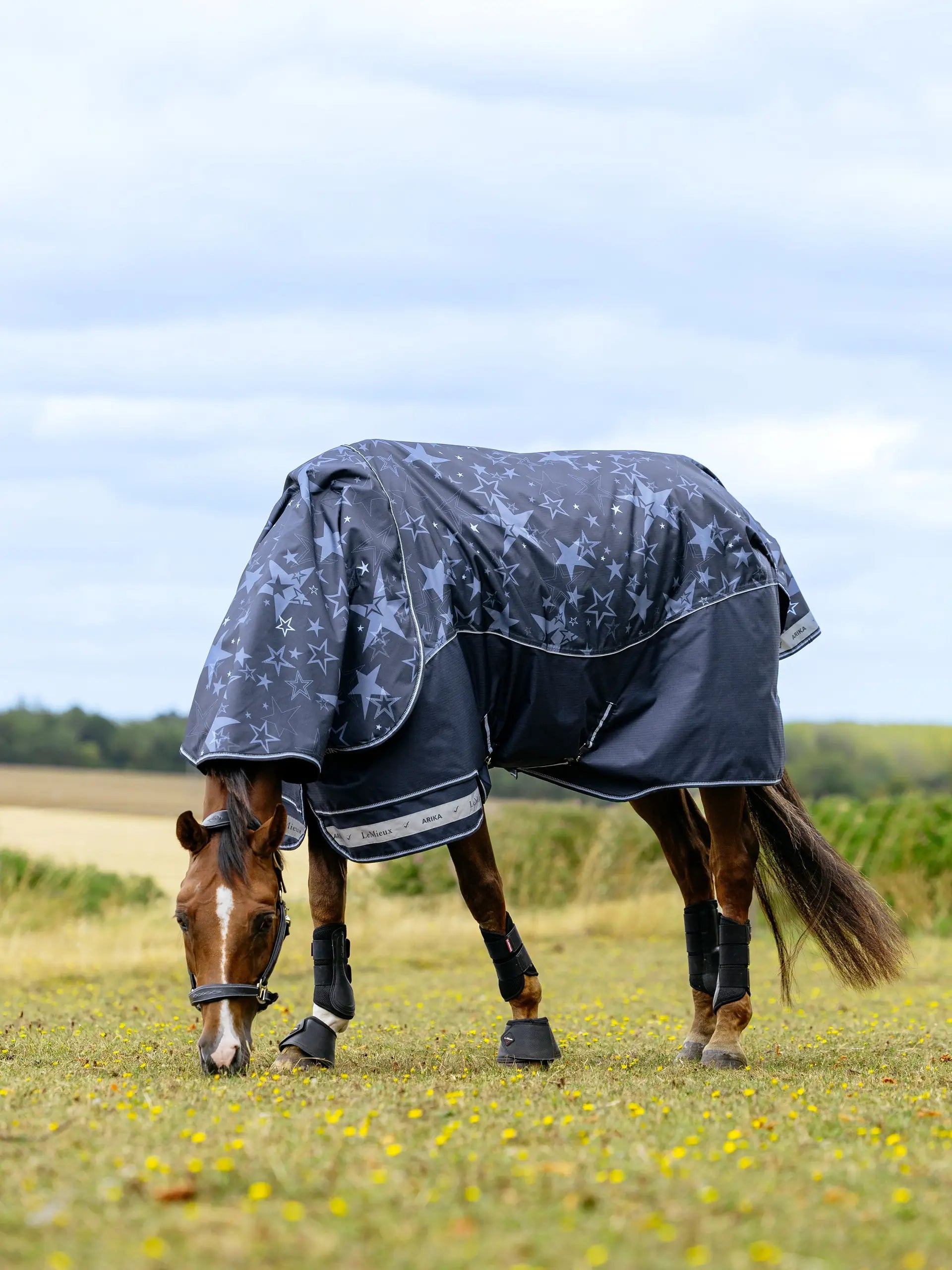 LeMieux Arika Star 200g Turnout Rug Navy