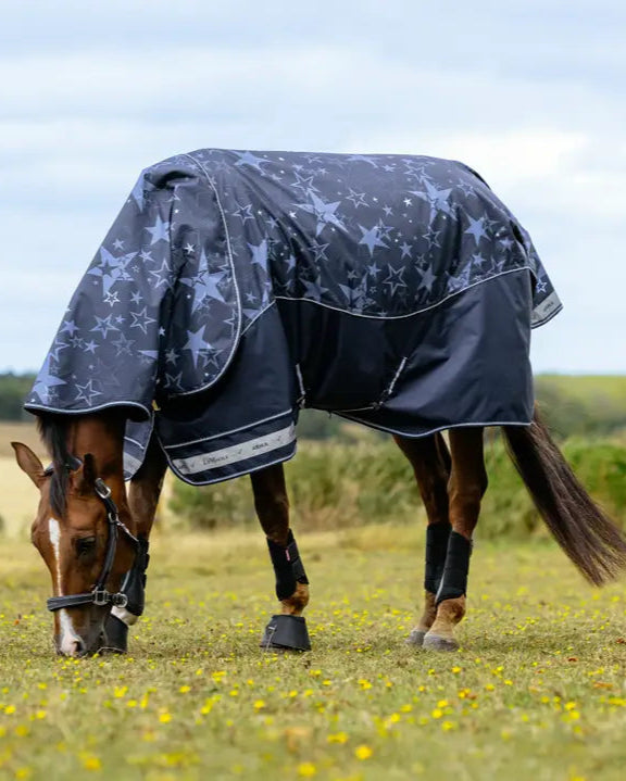 Horse in Lemieux Arika Star Turnout Rug: Waterproof, Star Print, Grazing in Field - Equiflair