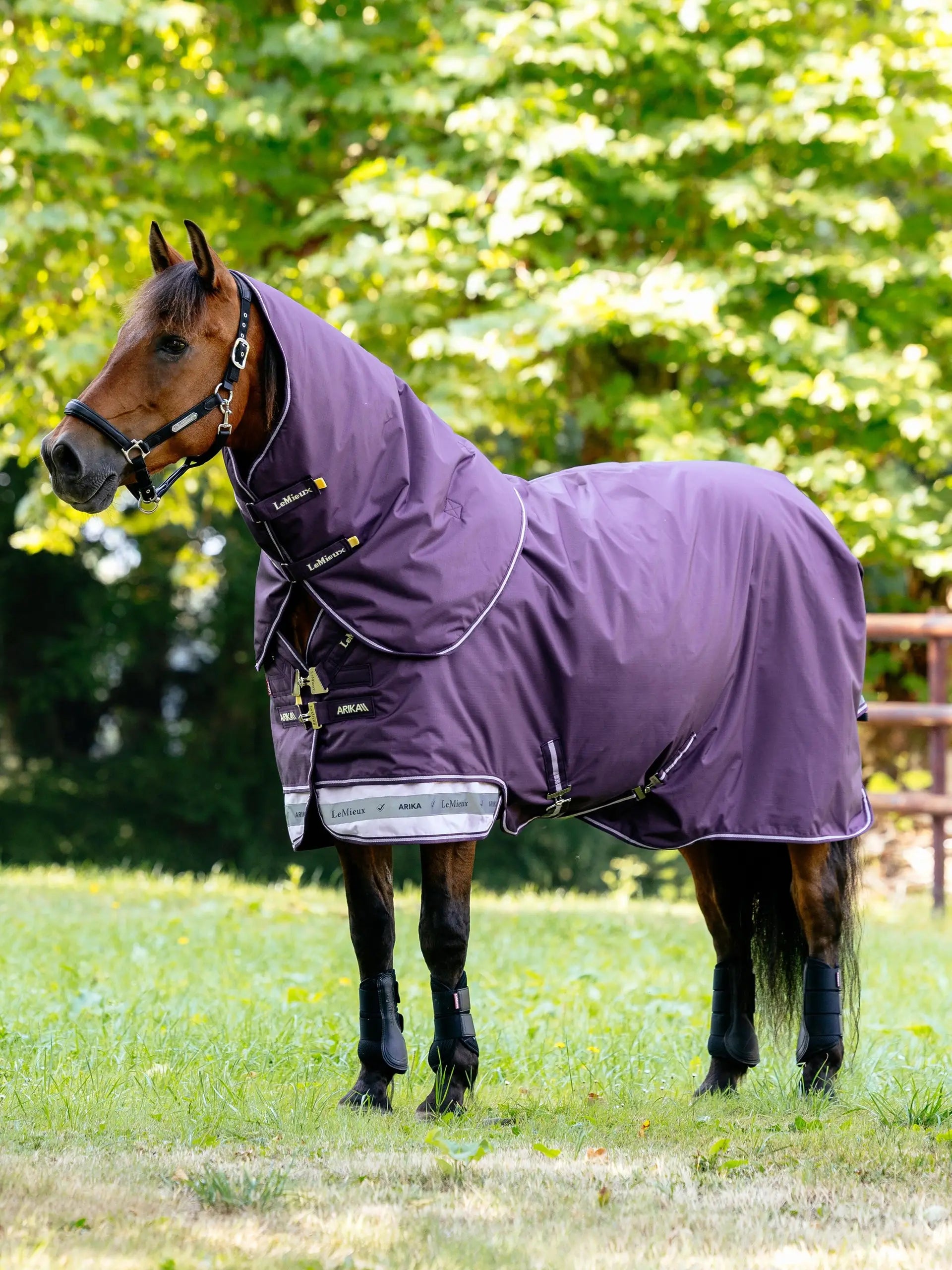 LeMieux Arika Juniper Horse Turnout Rug - Waterproof & Breathable Protection