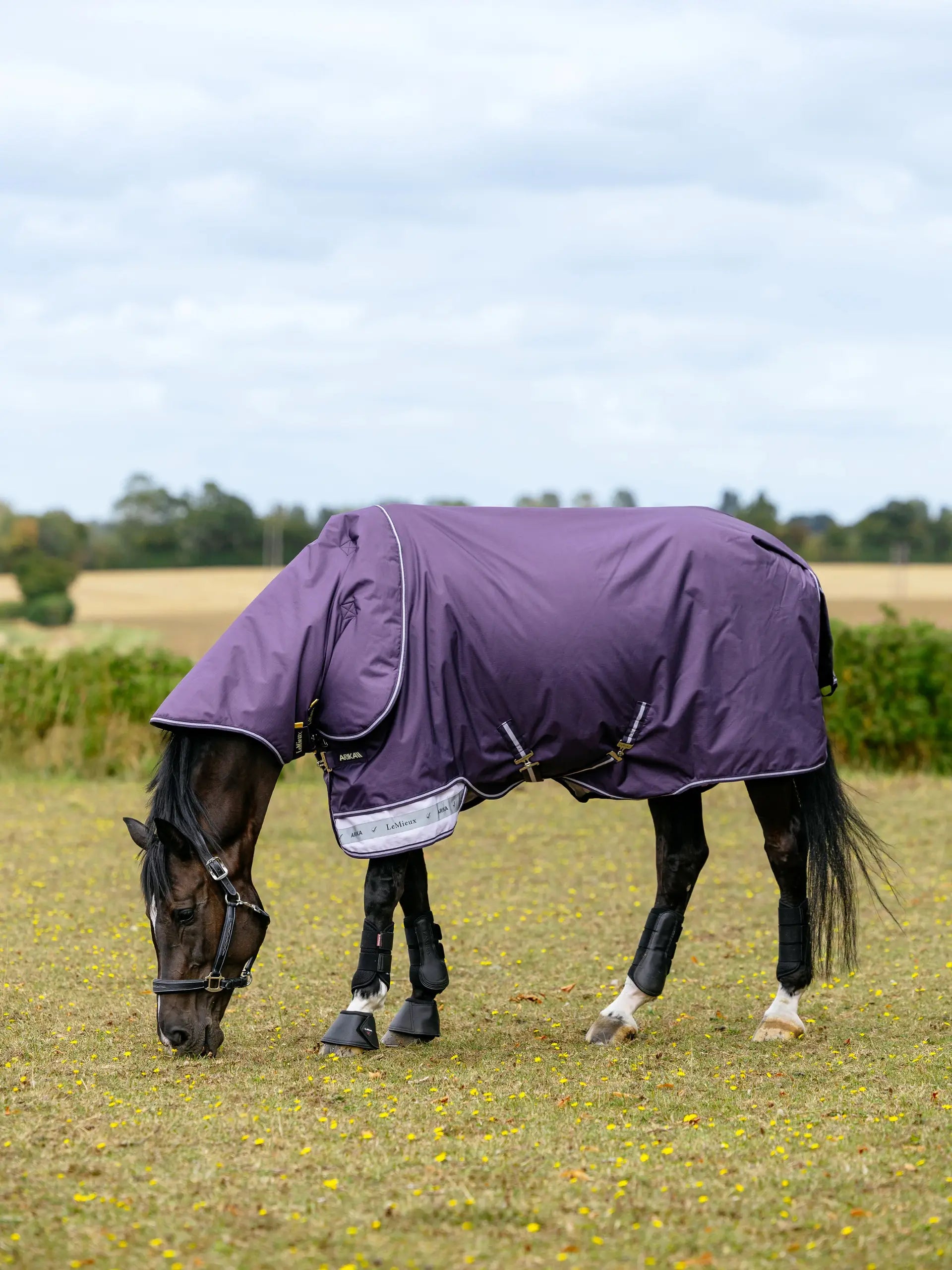 LeMieux Arika Ripstop 100g Turnout Rug Juniper