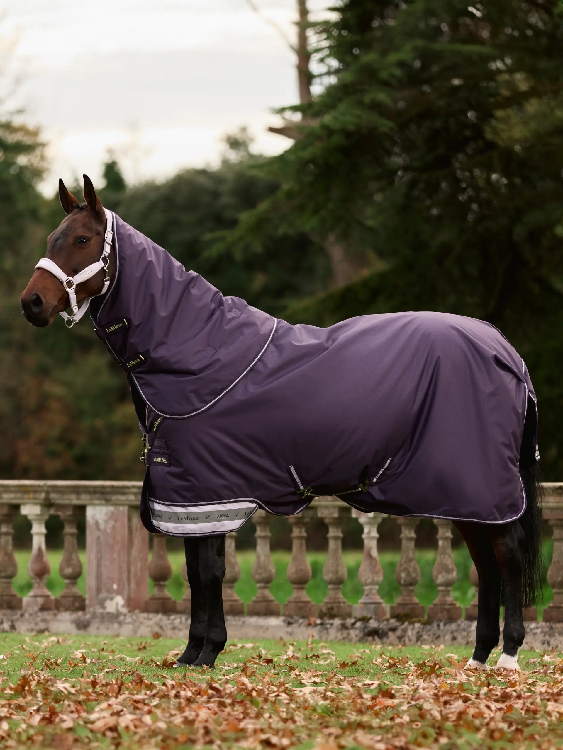LeMieux Arika Ripstop 200g Turnout Rug in Juniper: Waterproof horse rug from Equiflair. Durable & comfortable horse protection.