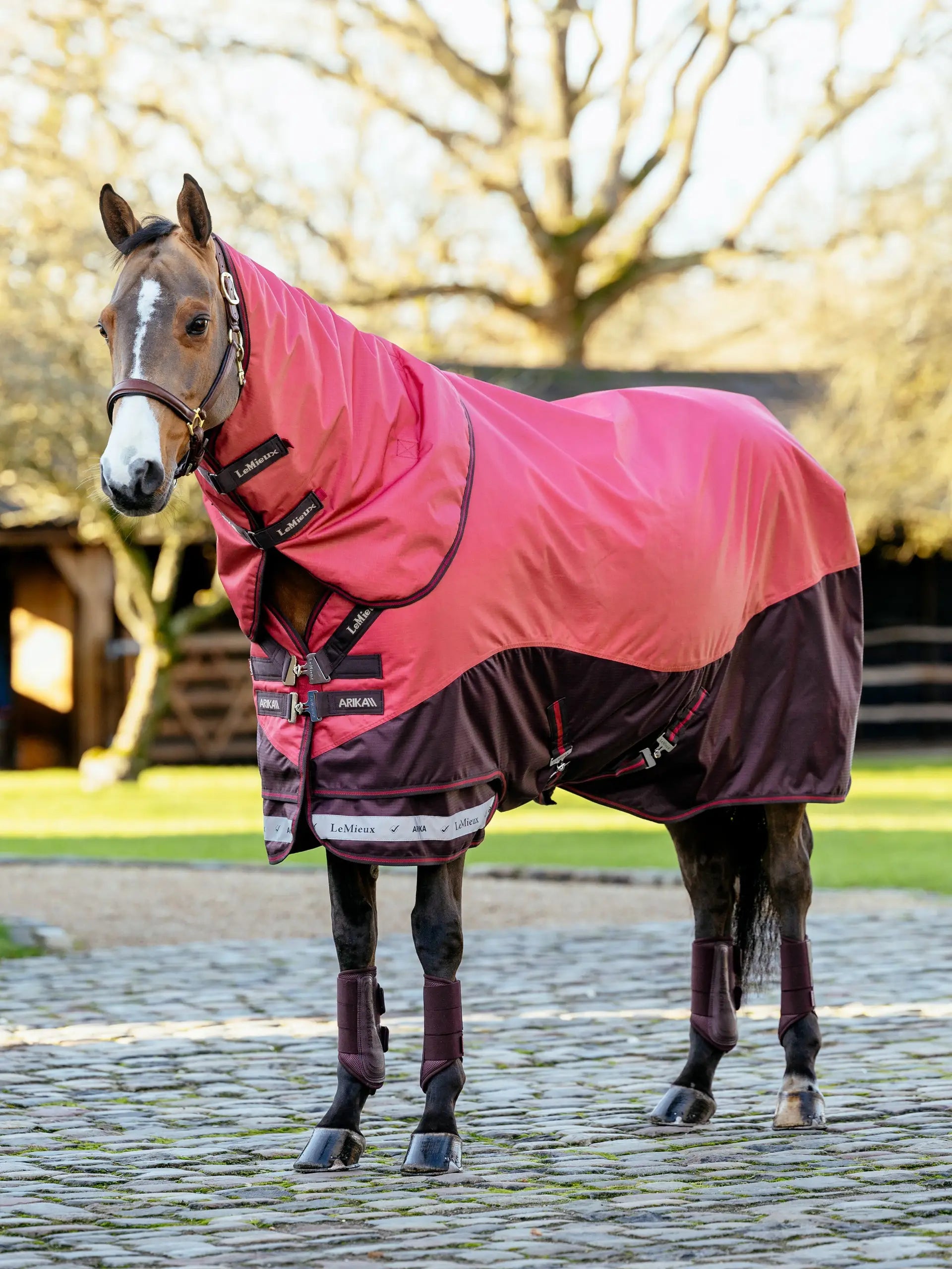 LeMieux Arika Ripstop 200g Turnout Rug Cranberry