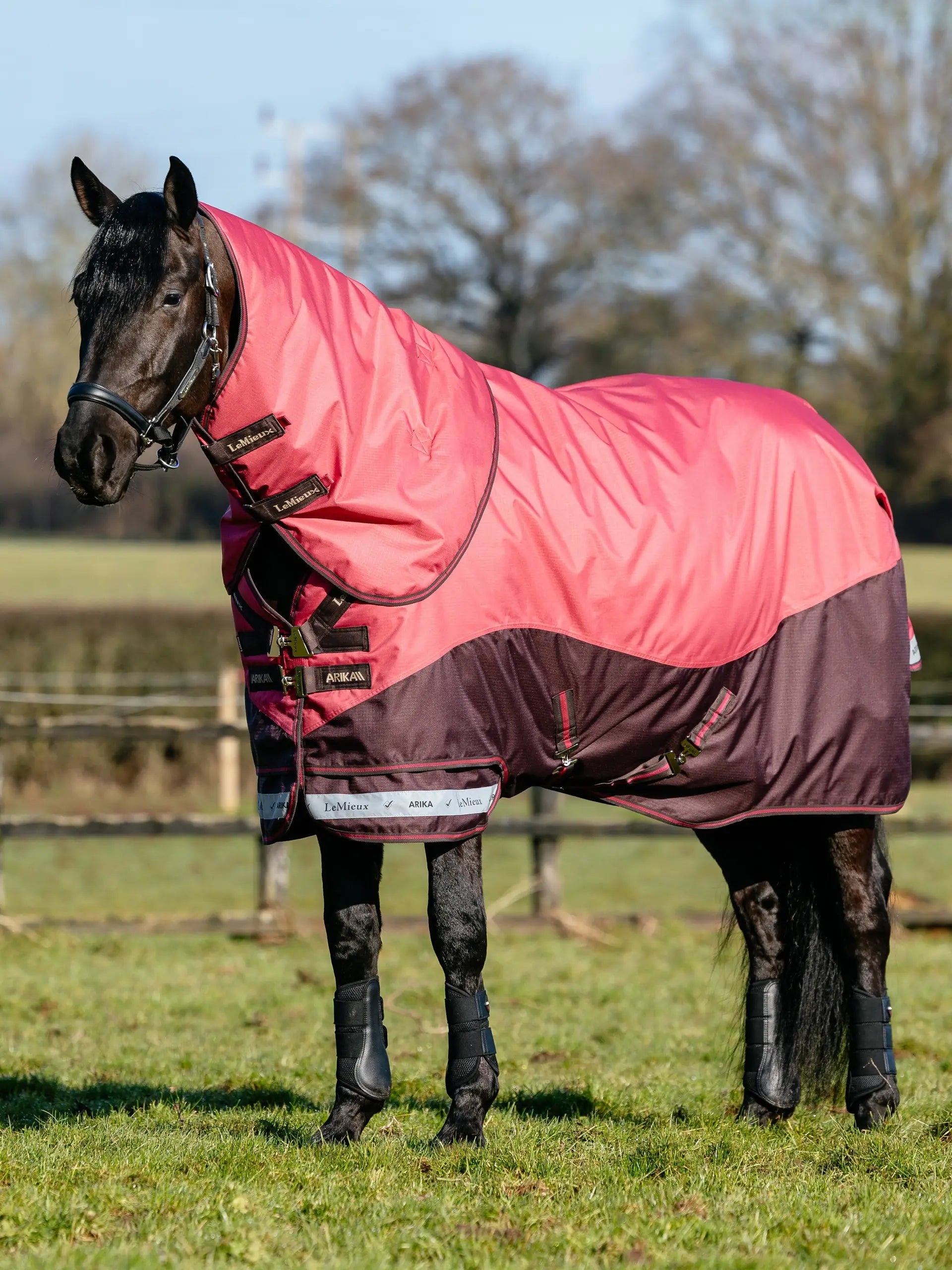 LeMieux Arika Ripstop 100g Turnout Rug Cranberry