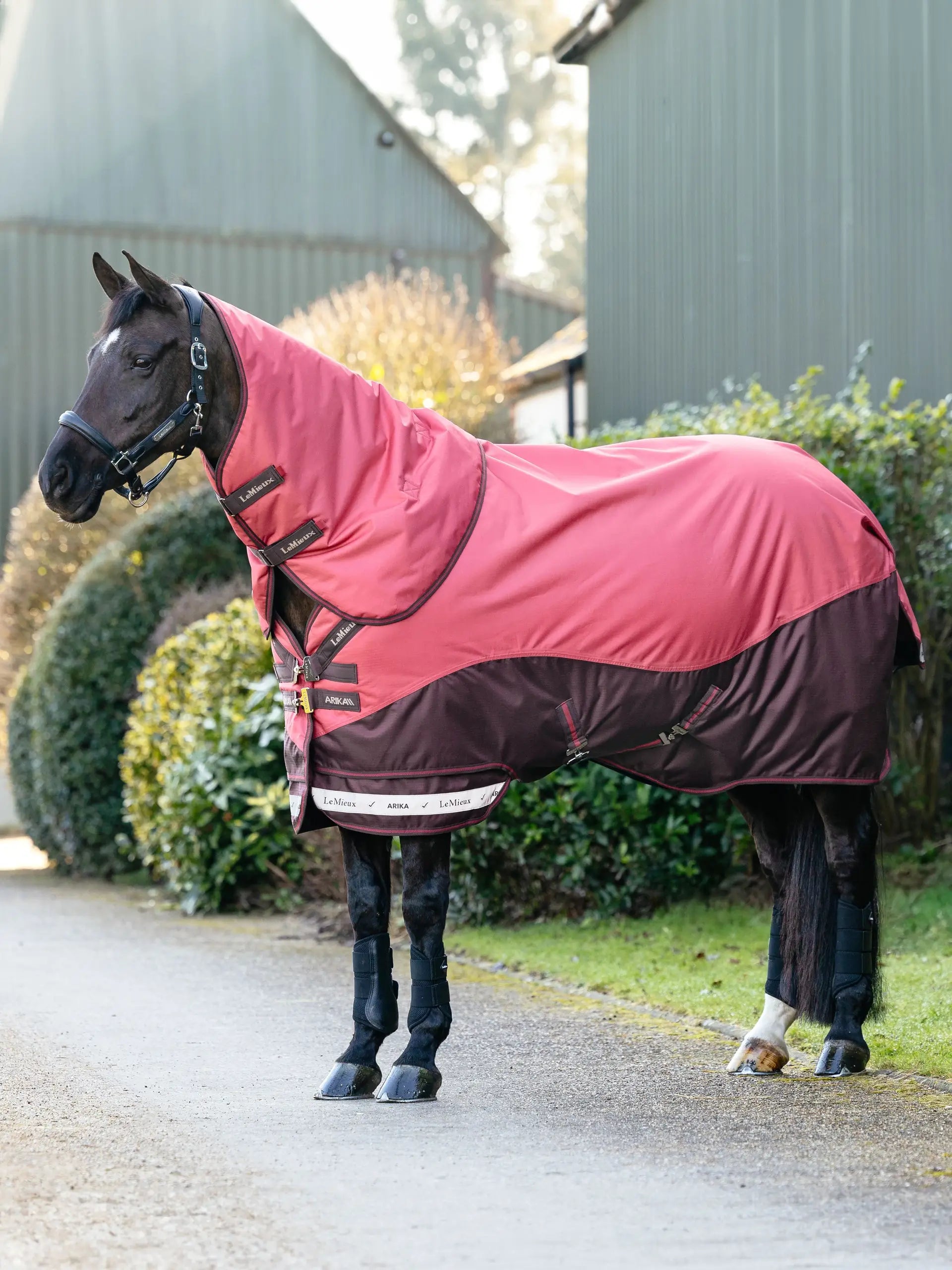 LeMieux Arika Ripstop 200g Turnout Rug Cranberry