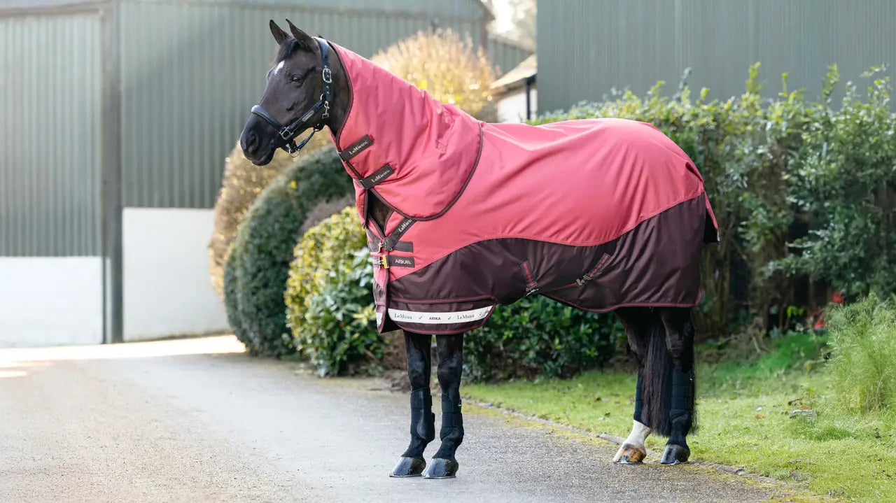 LeMieux Arika Ripstop 100g Turnout Rug Cranberry