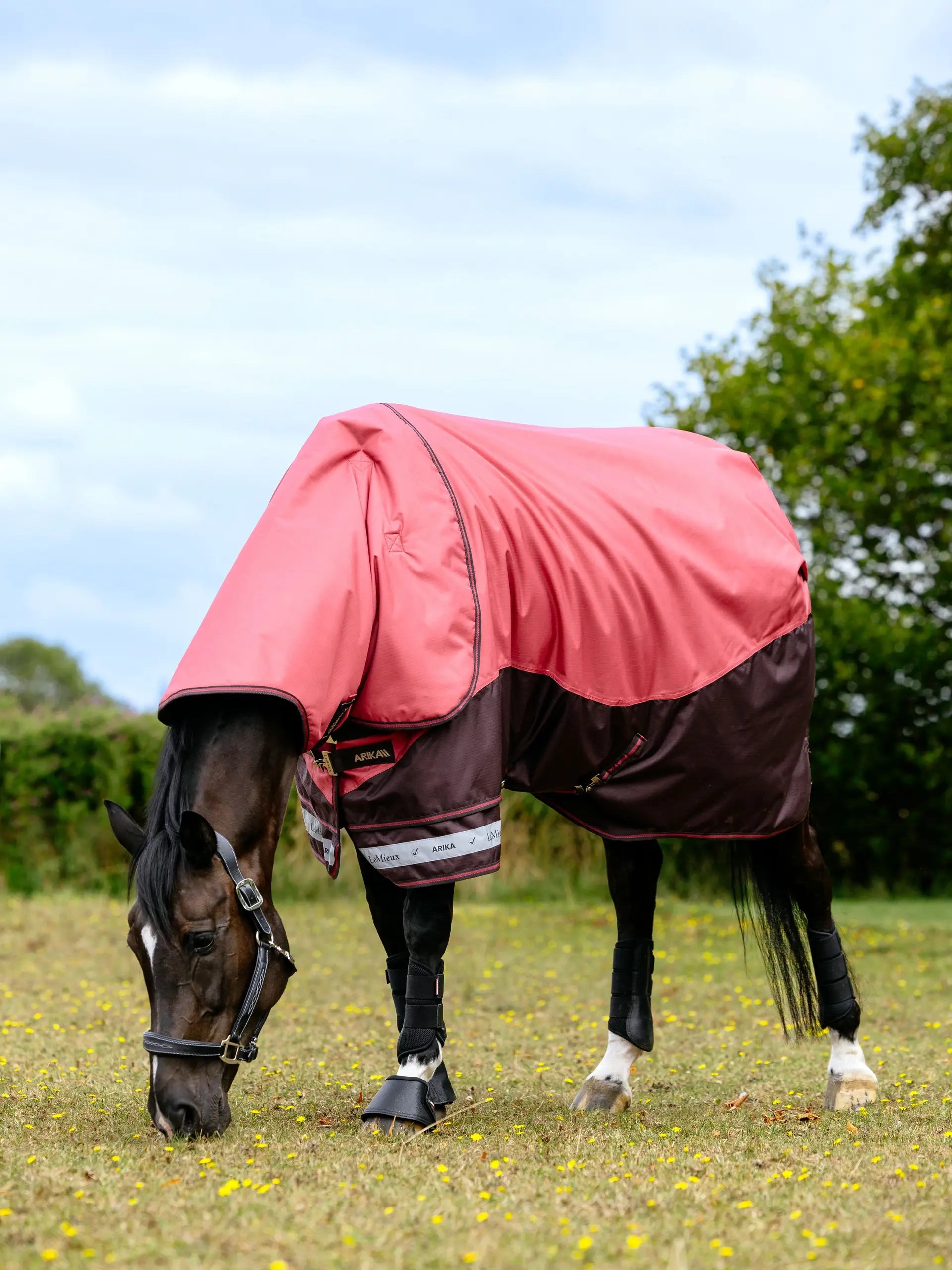 LeMieux Arika Ripstop 100g Turnout Rug Cranberry