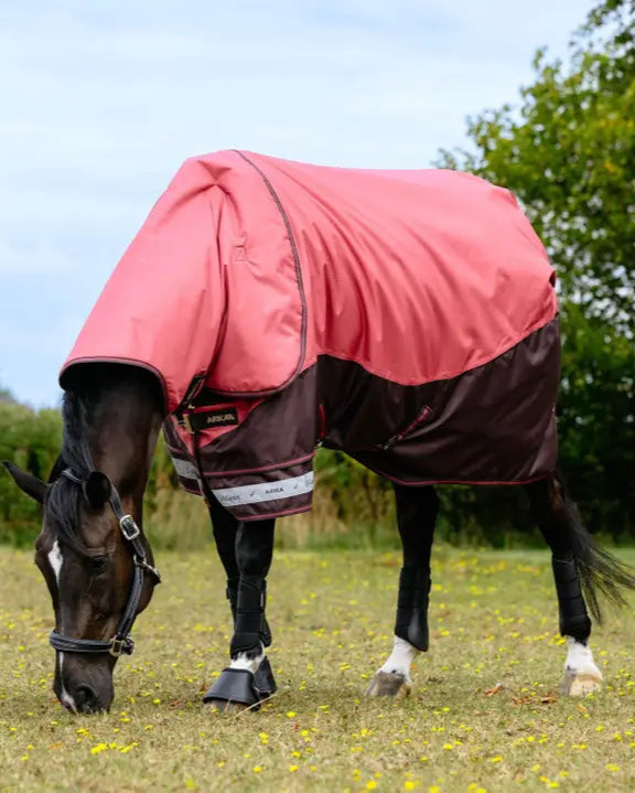 LeMieux Arika Ripstop 200g Turnout Rug Cranberry