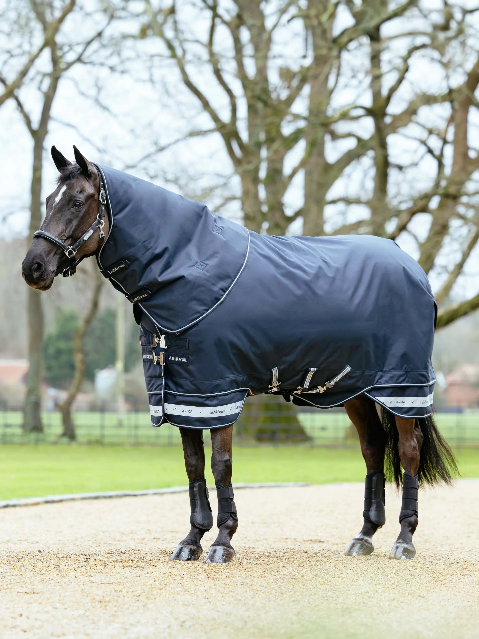 LeMieux Arika Storm-Tek Rug 350g Navy
