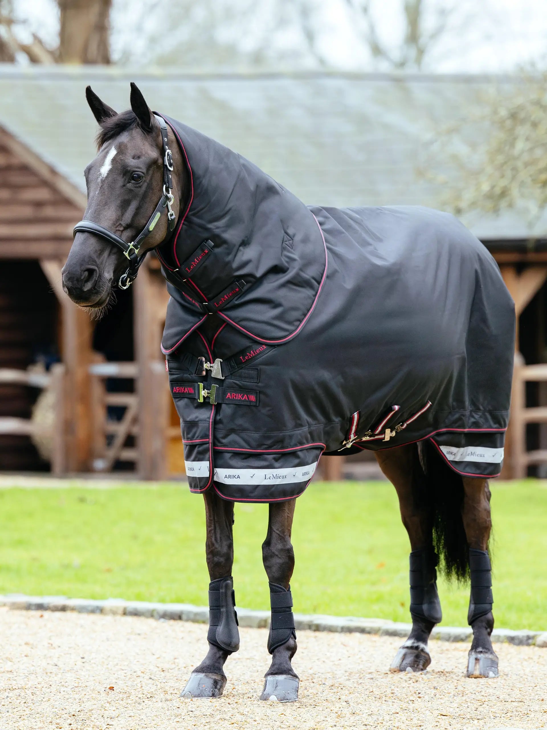 LeMieux Arika Storm-Tek Rug 350g Black