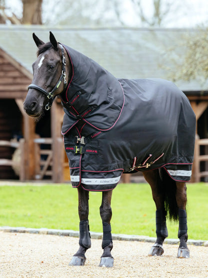 LeMieux Arika Storm-Tek Rug 350g Black