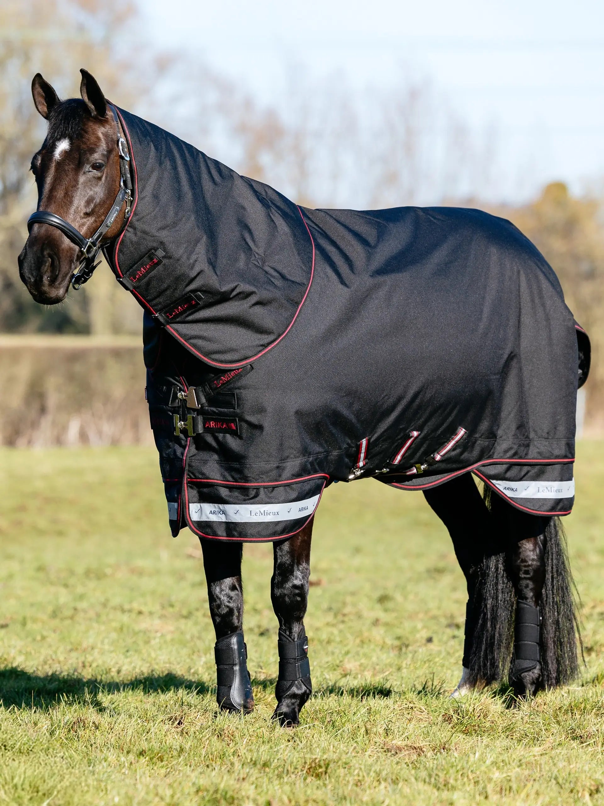 LeMieux Arika Storm-Tek Rug 50g Black