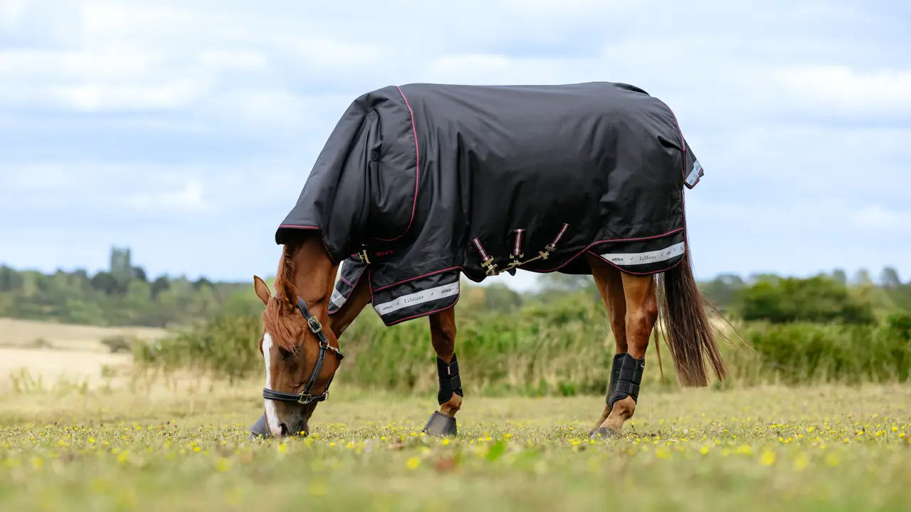 LeMieux Arika Storm-Tek Rug 200g Black