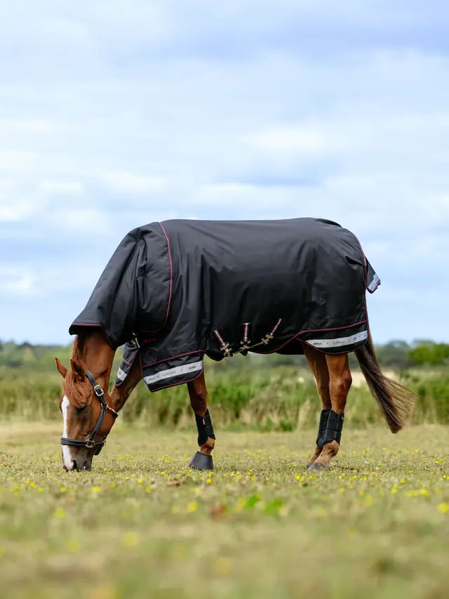 LeMieux Arika Storm-Tek Rug 100g Black