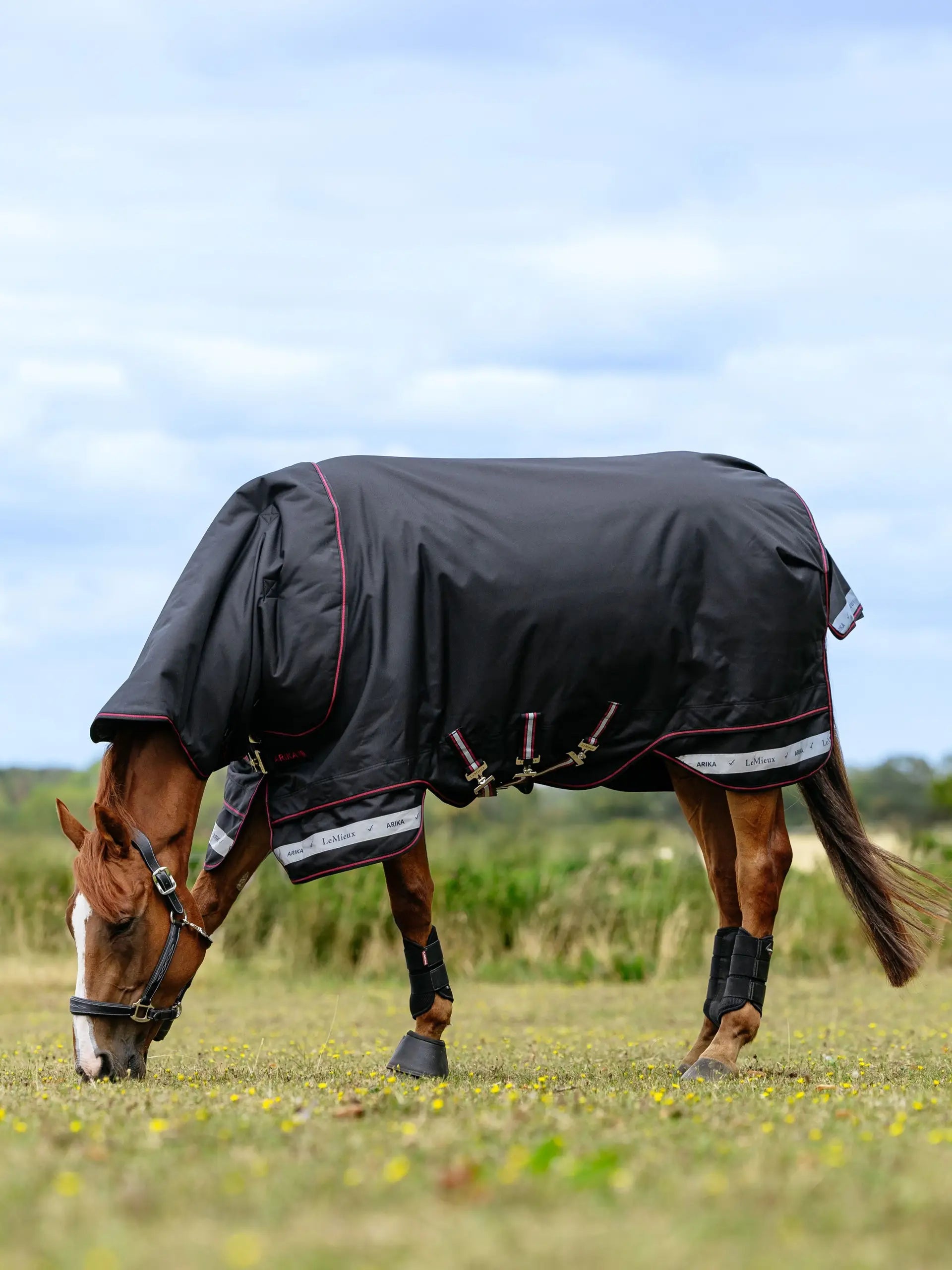 LeMieux Arika Storm-Tek Rug 350g Black