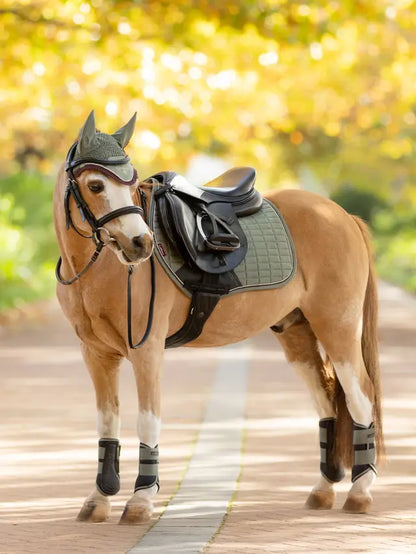 LEMIEUX Mini Suede Close Contact Square Rosemary on Pony: Equestrian Style at Equiflair