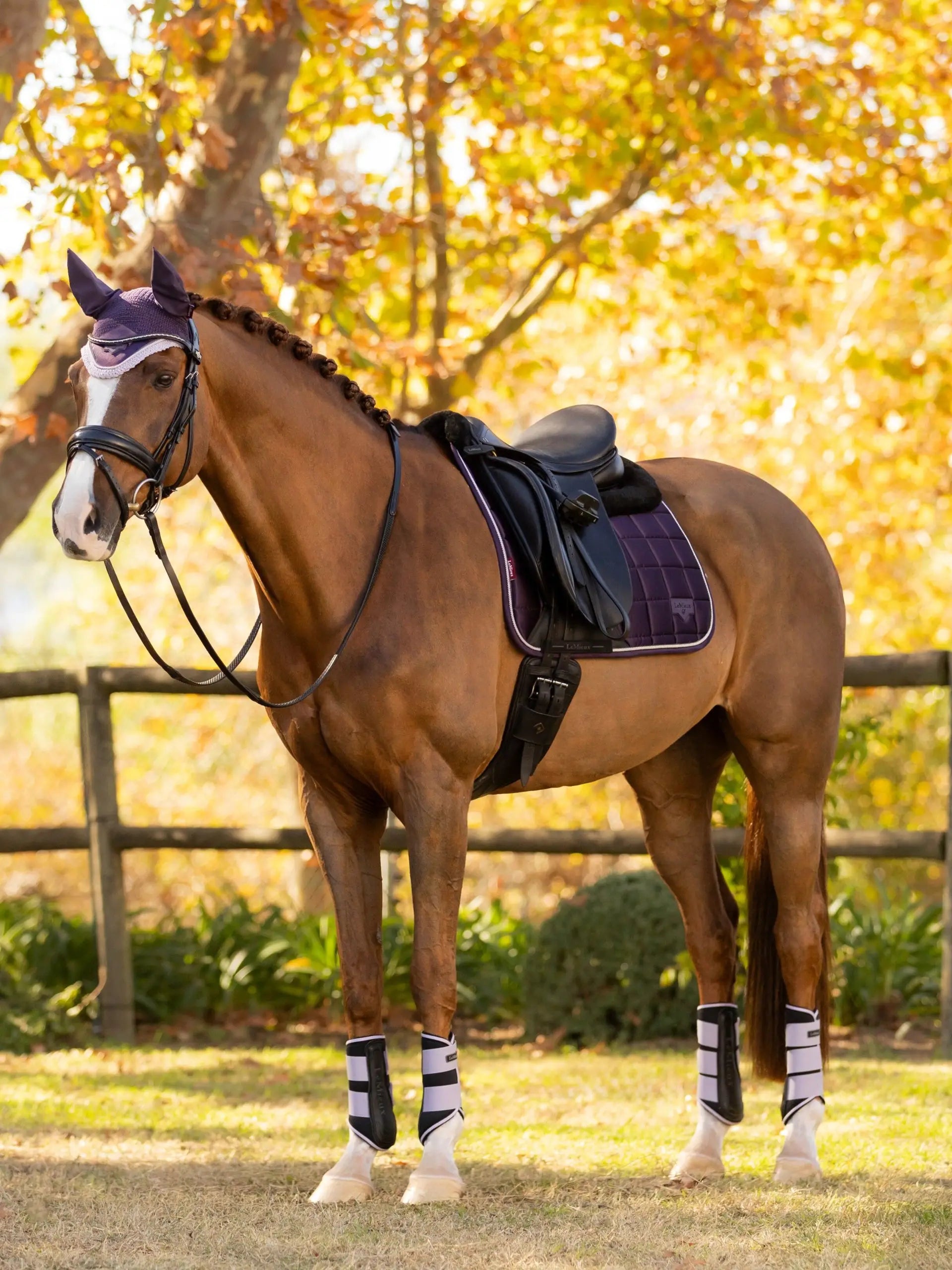 LeMieux Merino+ Loire Classic Dressage Square Juniper