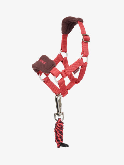 LeMieux Toy Pony Vogue Headcollar & Leadrope Cranberry