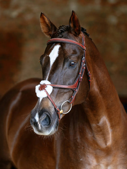 LeMieux Kudos Grackle Bridle Chestnut