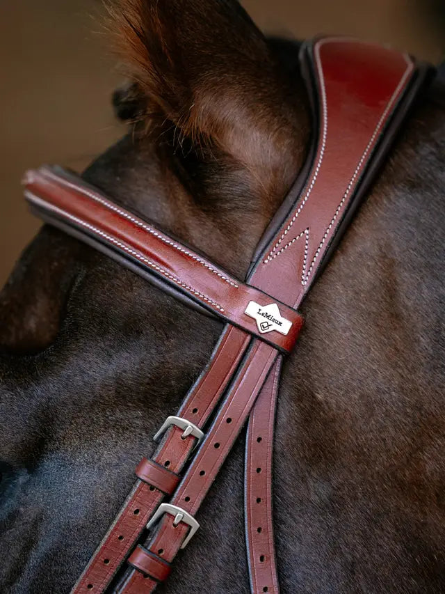 LeMieux Kudos Grackle Bridle Chestnut