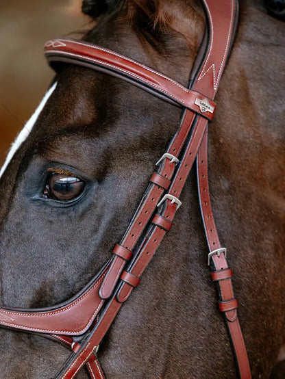 LeMieux Kudos Grackle Bridle Chestnut
