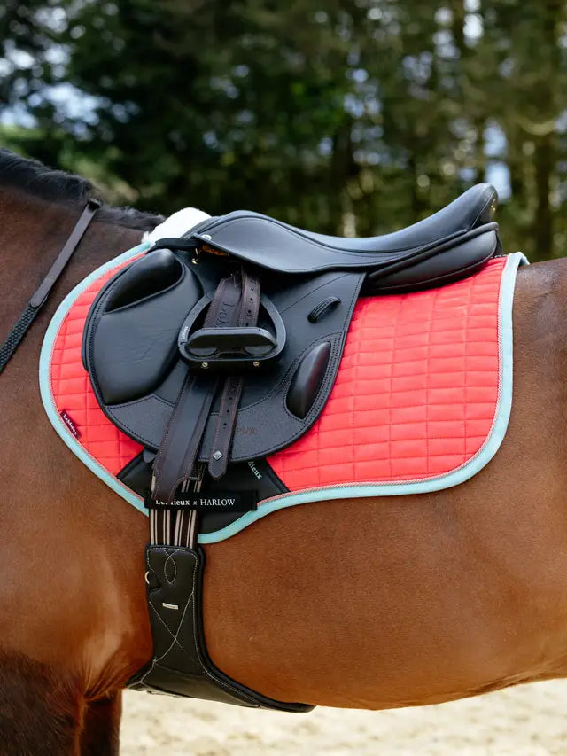 LeMieux Harlow Close Contact Square Coral Crush Saddle Pad on Horse - Equiflair Equestrian Tack