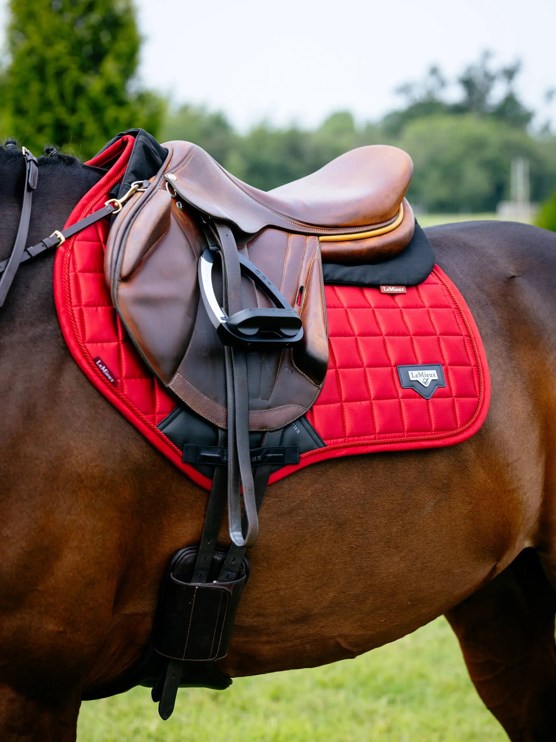 LeMieux Loire Classic Close Contact Red Saddle Pad on Horse - Equestrian Style & Comfort