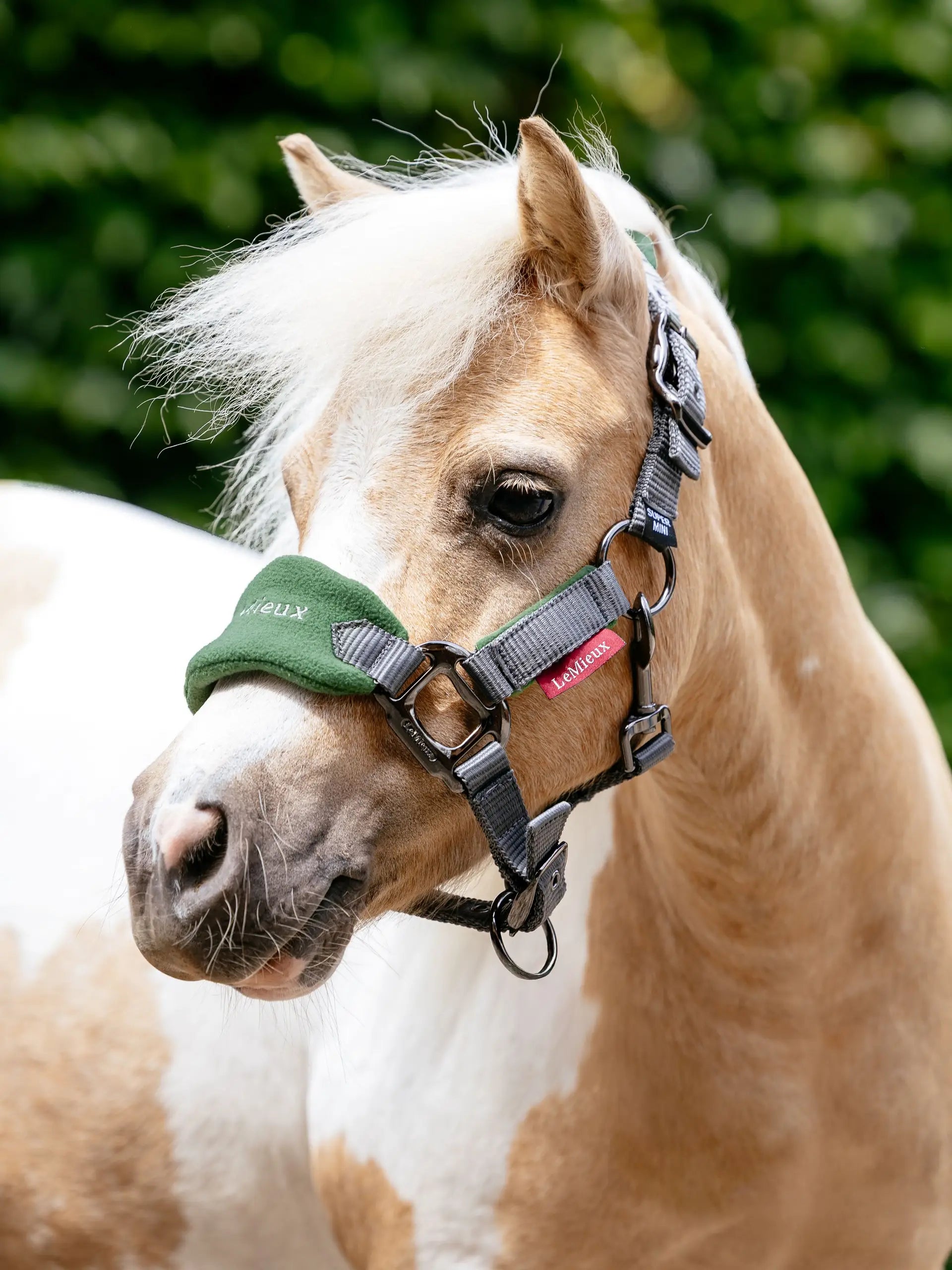 LeMieux Mini Vogue Headcollar Hunter Green for Pony: Fleece Lined, Padded Comfort