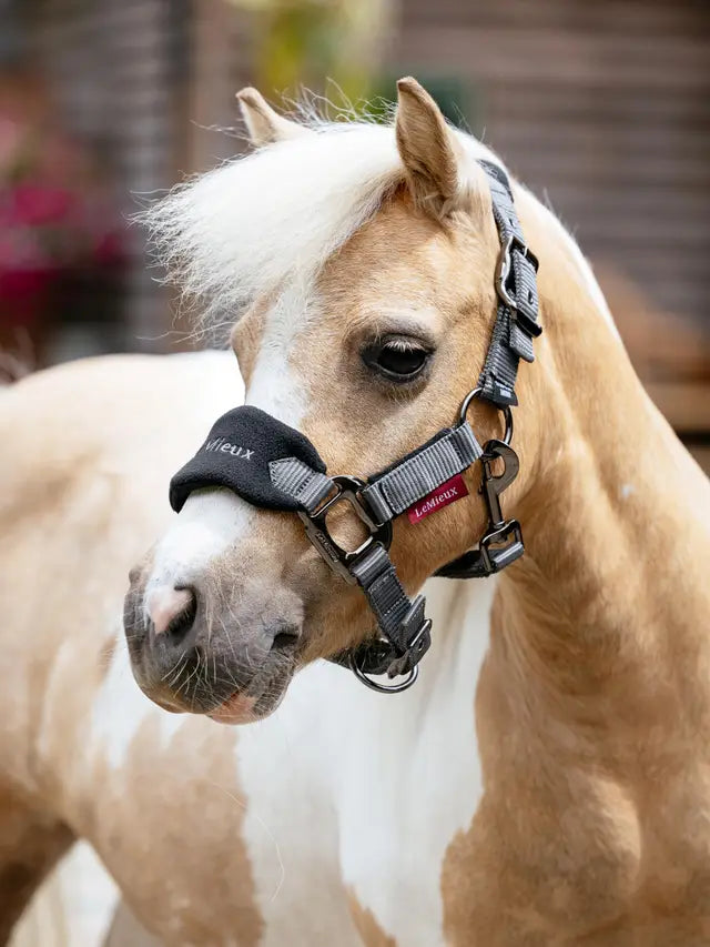 LeMieux Mini Vogue Headcollar & Leadrope Black: Soft Fleece Pony Headcollar for Miniature Horses, Equine Equipment by Equiflair