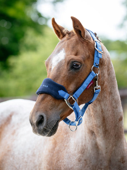 LeMieux Mini Vogue Headcollar & Leadrope Benetton Blue on Horse | Equiflair