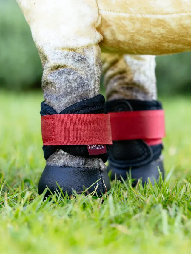 LeMieux Toy Pony Grafter Boots Chilli