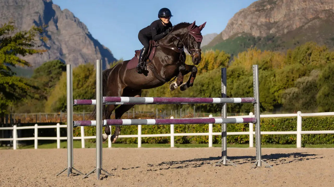 LeMieux Essence Eurojump Square Damson