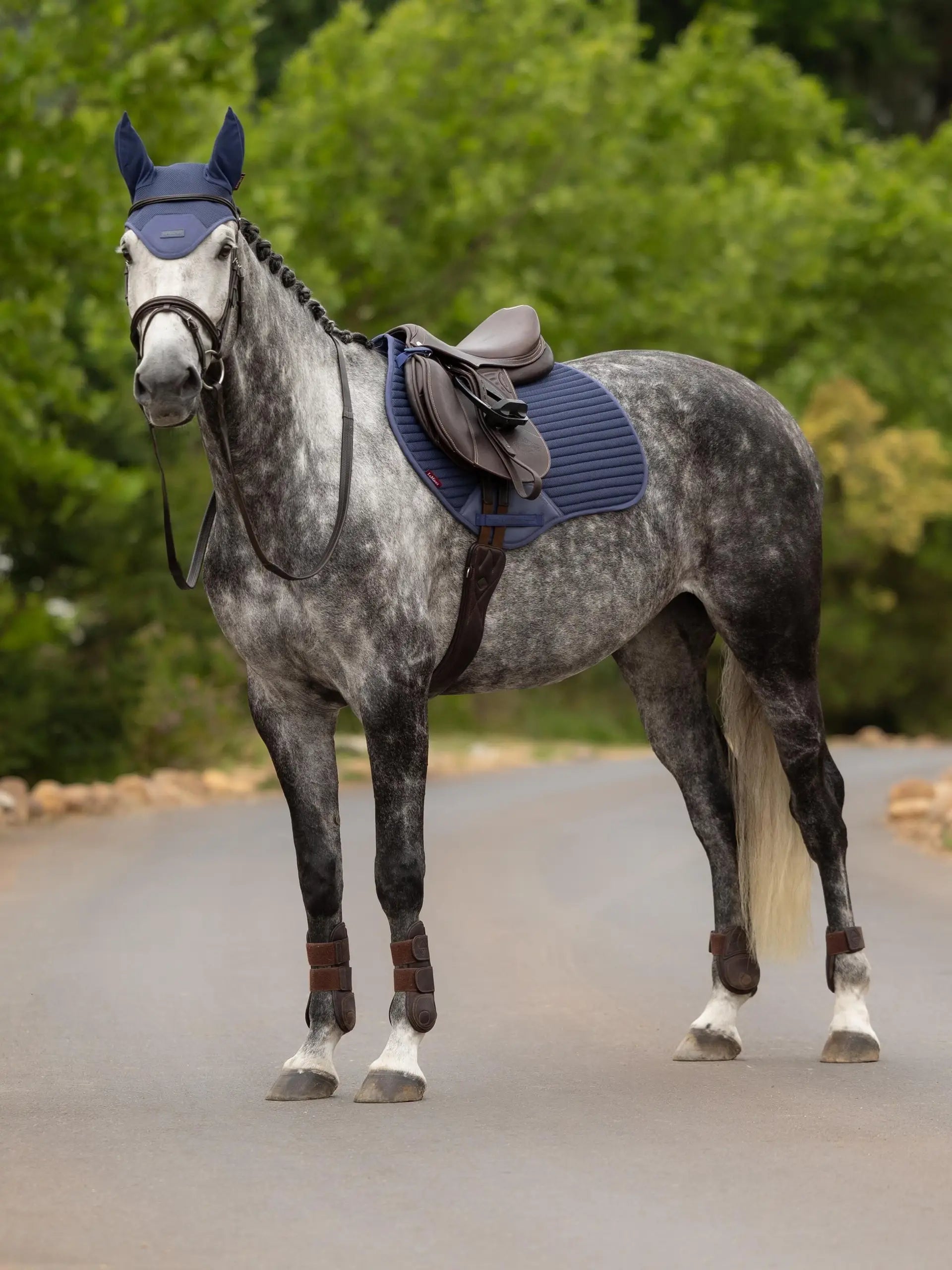 LeMieux Air-Tek Shadow close contact saddle pad on horse breathable cooling pad