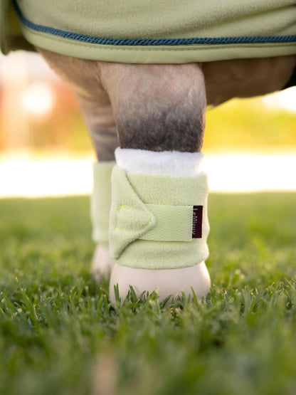 LeMieux Toy Pony Bandages Macaron | Equiflair