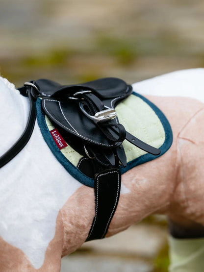 LeMieux Toy Pony Pad Macaron