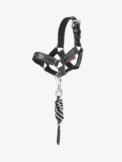 LeMieux Toy Pony Leather Headcollar & Leadrope Black | Equiflair