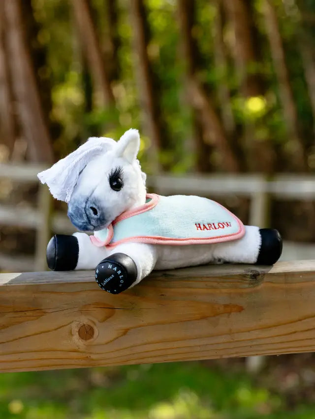 LEMIEUX Harlow Tiny Beanie Pony with Mint/Coral Crush Rugs from Equiflair