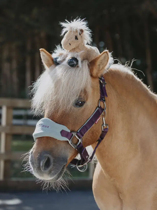 LeMieux Harlow Tiny Beanie Pony Cloudy