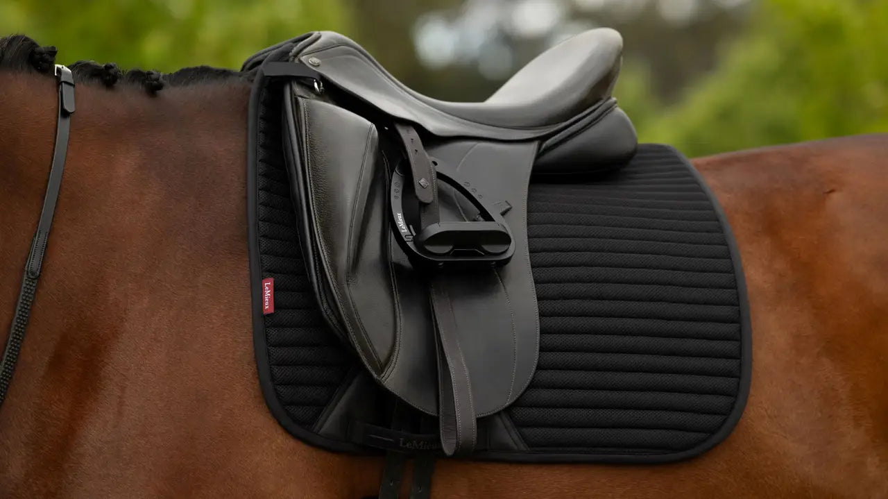 LeMieux black dressage saddle pad on horse breathable mesh close fit