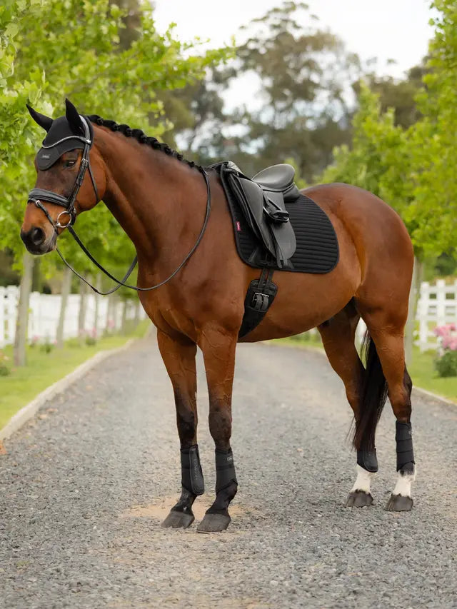 Horse wearing LeMieux Air-Tek Mesh Dressage Square Black cooling pad