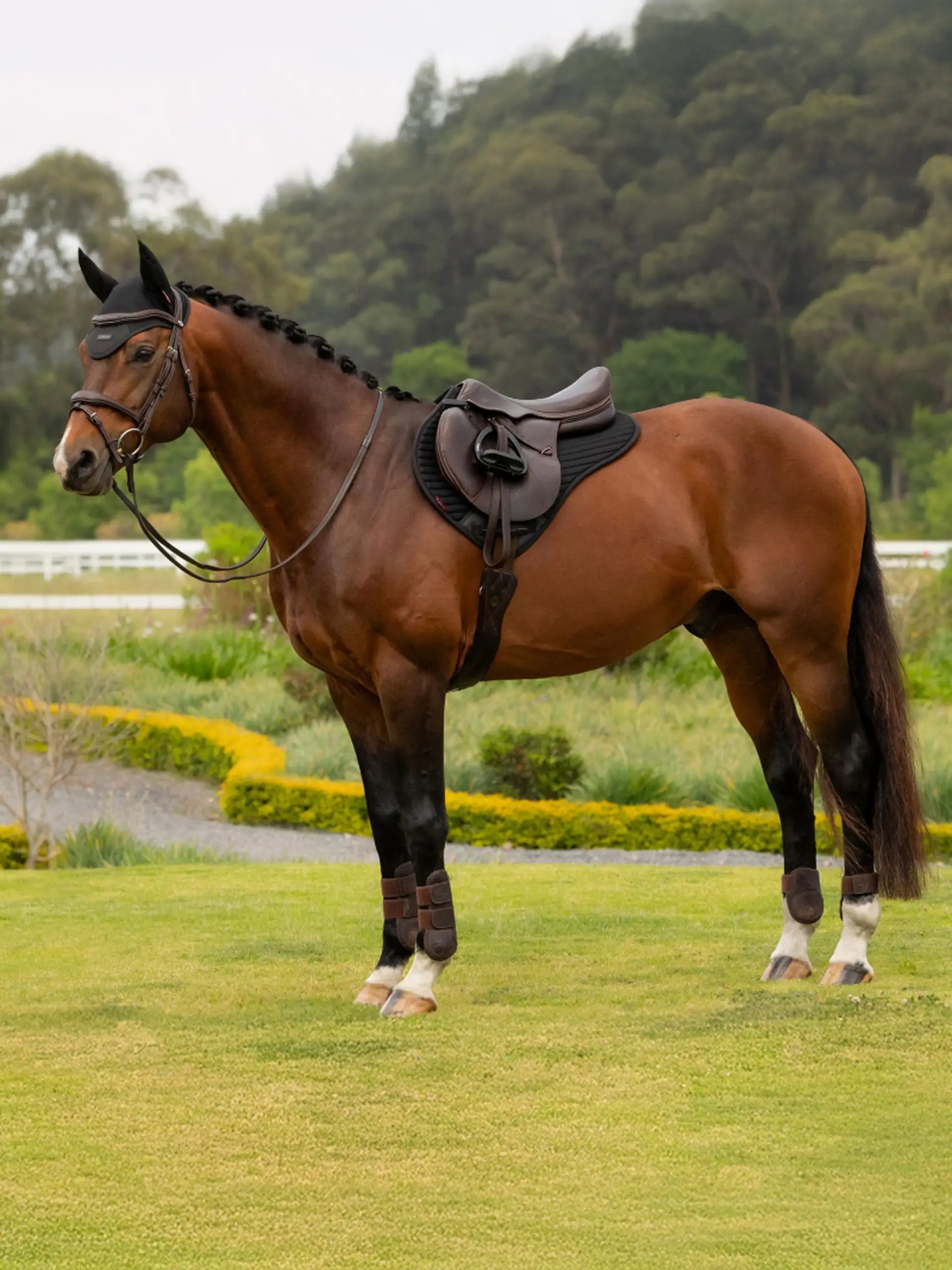 LeMieux Air-Tek Shadow saddle pad on horse breathable cooling close contact pad