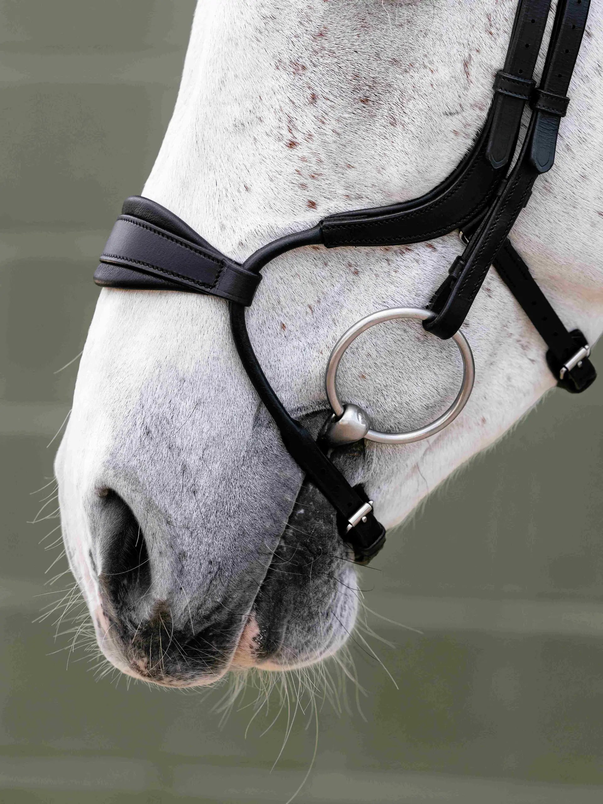 LeMieux Arika Anatomic Adjustable Noseband Bridle Black/Silver