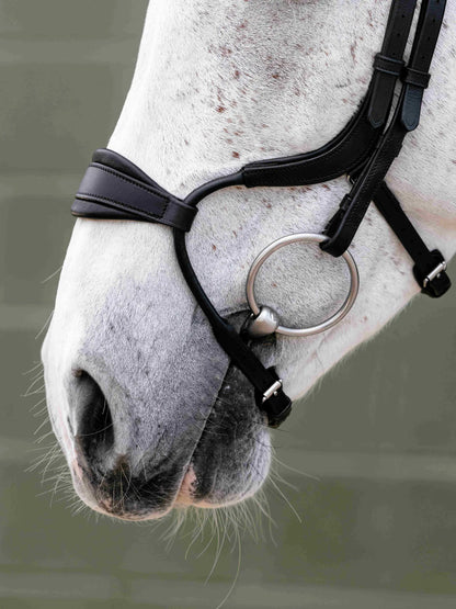 LeMieux Arika Anatomic Adjustable Noseband Bridle Black/Silver