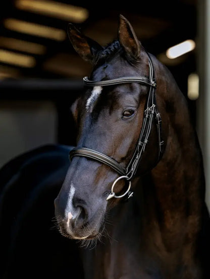 LeMieux Arika Anatomic Caveson Bridle Black/Silver - Luxurious oiled leather, anatomically shaped headpiece for comfort and control.